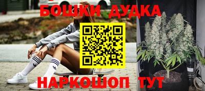 СК Гусь-Хрустальный